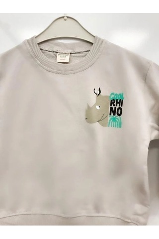 Zekids Erkek Çocuk Cool Rhino Baskılı Pamuklu Sweatshirt-14202 Taş