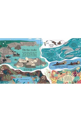The Usborne Look Inside Nature 5+ Yaş