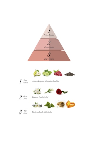 Prova Ideal Kadın Parfüm EDP 120 ML