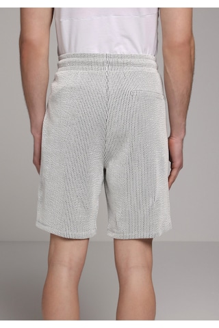 Colin's Colins Regular Fit Orta Bel Çizgili Erkek Gri Şort Cl1080260 Q1.v2 Gra