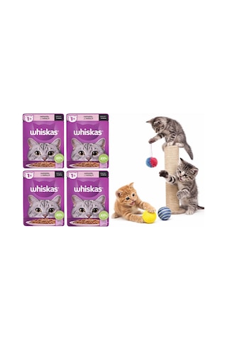 Whiskas Somonlu Pouch Kedi Maması 85 Gr 6 Adet