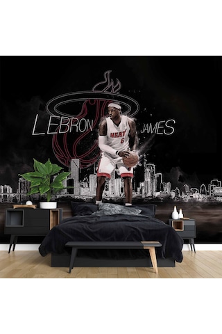 Labron James Basketbol Duvar Kağıdı 1 M²