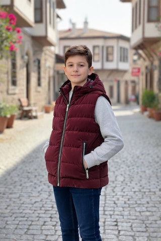 Pina Kids Erkek Çocuk Kapüşonlu Şişme Yelek Bordo