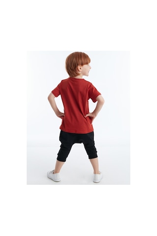 Denokids Hi Ponçik Erkek Çocuk Şort Takım Çok Renkli