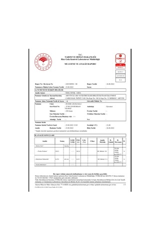 Ballivane Artvin Yayla Çiçek Balı 1 KG