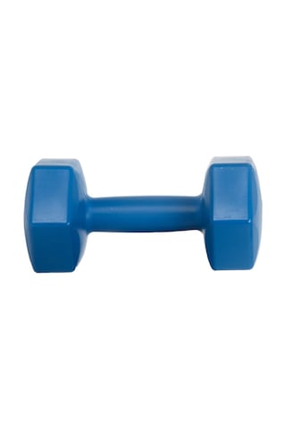 1 Kg Dambıl Ağırlık 1 Kg 1 Adet