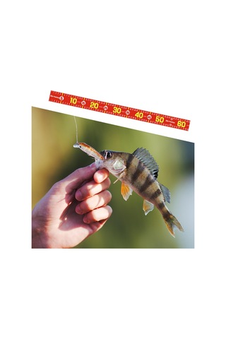 Homyl Balık Ölçme Aracı 51.18 '' Tekne Kırmızı-b