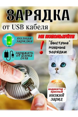 Etkileşimli Kedi Oyuncağı 319768571