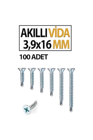 Akıllı Vida 3,9x 16 Mm 100 Adet Diğer