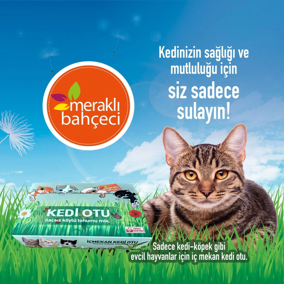 Kedi Otu Kit Kedi Çimi Set - Toprak, Saksı, Koruyucu File Ve Tohum Seti