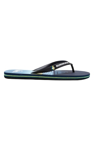 Quiksilver QUIKSILVER MOLAKAİ PANEL ERKEK TERLİK AQYL101263-BYJ1 Mavi - Yeşil - Siyah