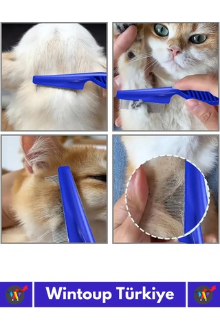Özel Üretim Yüksek Kaliteli Hassas Koruma Petshop Kedi Köpek Evcil Hayvan 4'lü Bit Tarağı Seti