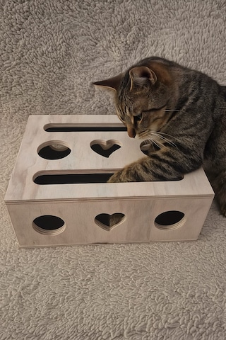 Mistikhane - Kedi Tırnak Törpüsü Ve Oyun Kutusu L Model