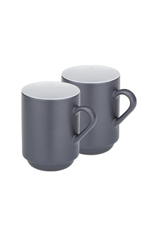 Kela 12757 Mattıa Kupa Seti 2li Gri 300ml