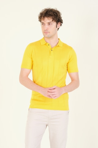 Giyim Dünyası Erkek Çizgili Polo Yaka Merserize T-shirt Sarı 001