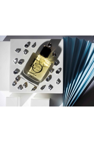 Polodeur Pd 101 Erkek Parfüm EDP 50 ML