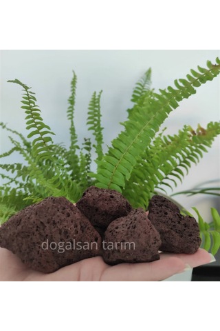 1 Kg 5-10 Cm Akvaryum Taşı Teraryum Taşı Filtre Taş Pomza Taşı