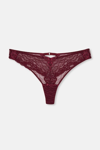 Eros 1210 Salvia Boş Cup Sütyen Külot Takım Bordo V3