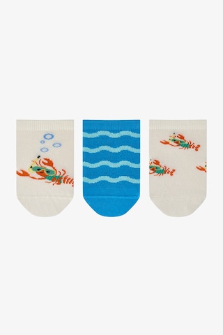 Penti Erkek Çocuk Snorkel Lobster 3lü Patik Çorap Mavi