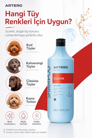 Artero Scarlet Poodle Irkına Özel Renk Arttırıcı Şampuan 650 Ml