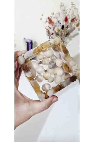 Reçine Deniz Kabuğu Dekoratif Obje, Şeffaf, Kare Şekil, Doğal Kabuklu, Coastal Tema Genel
