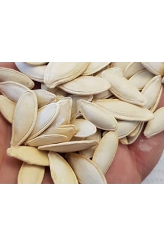 Süper Paket Kabak Çekirdeği Tohumu Çekirdeklik Nevşehir Kabak Çekirdeği Tohumu 150 Adet Tohum