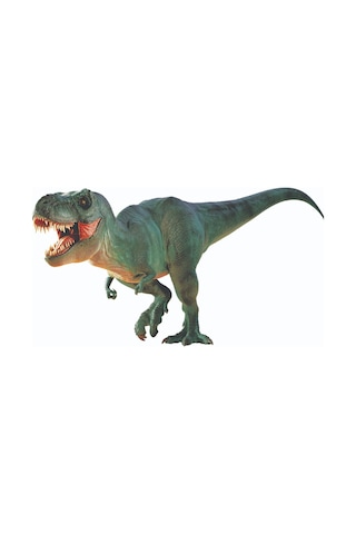 National Geographic Dino Kazı Kiti Trdıno2