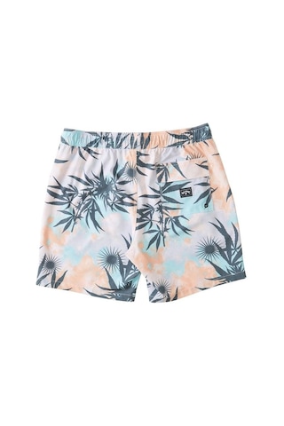 Billabong Sundays Lb Erkek Şort C1lb17-558-çok Renkli