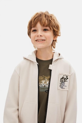 Erkek Hırka 25knk49307 Gri