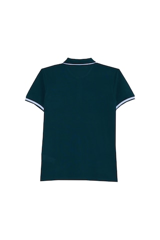 Erkek Slim Fit Dar Kesim %100 Pamuk Jakarlı Düz Yaka Ve Kol Detaylı Yeşil Polo Yaka Tişört-50212 Yeşil