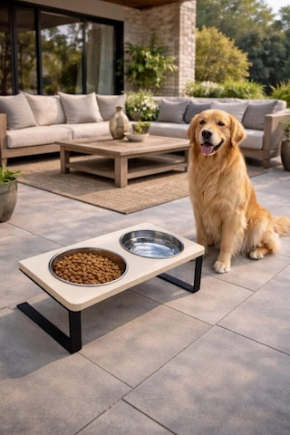 Reyo Ok-ay Store Radessa Xl Yüksek Standlı Çift Hazneli Mama Ve Su Kabı, Büyük Ve Orta Boy Köpek Ve Kedi Su Kabı Paslanmaz Çelik Krem