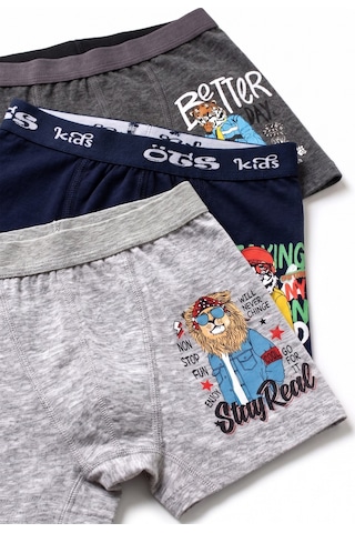 Öts Erkek Çocuk 3 Lü Pamuklu Boxer Baskılı Günlük Klasik Model 7386-3 Renkli