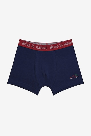 Penti Erkek Çocuk Drive To Nature 2li Çok Renkli Boxer Çok Renkli Çok Renkli