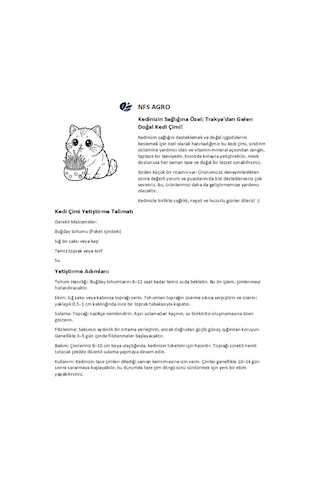 Kedi Çimi Tohumu - 500 Gram Kedi Çimi Tohumu