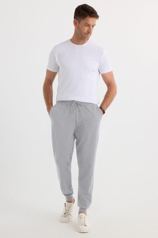Tudors Erkek Regular Fit Klasik Kesim Beli Bağcıklı Jogger Cepli Lastikli Paça Gri Eşofman Altı-40064 Gri