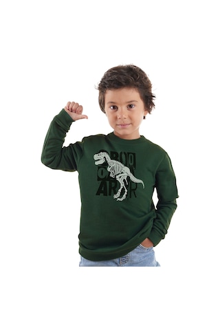 Denokids Roarr Dino Erkek Çocuk Haki Sweatshirt Renkli