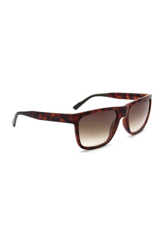 Calvin Klein Ck 21531s C220 Erkek Güneş Gözlüğü Kahverengi