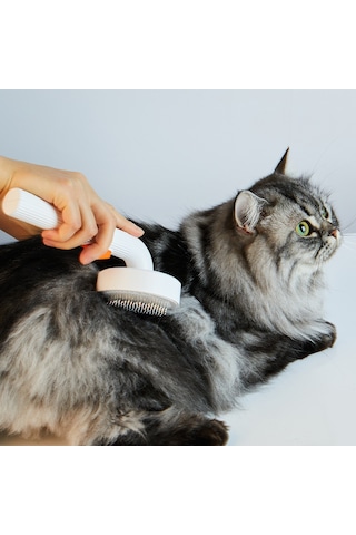 Petkit Tüy Toplayıcı Kedi Köpek Tarak Beyaz 2 (Resmi Distribütör Garantili)