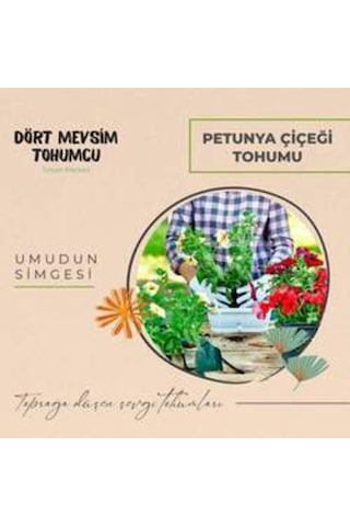 Petunya 100 Adet Tohum