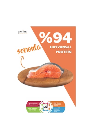 Petline Lovely Kitten Somonlu Yavru Kedi Maması 10 KG