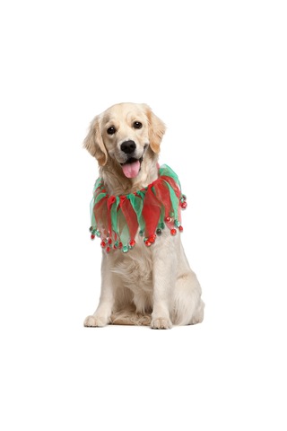 Homyl Yılbaşı Kış Tatili Yürüyüş Için Köpek Tasmaları Kırmızı