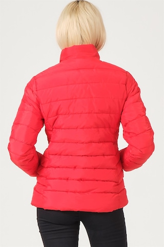 Dewberry Bayan Mont Z6746