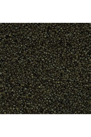 Tropical Süper Spirulina Forte Granulat Granül Yem 1 KG