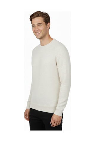 Erkek Sıfır Yaka Petek Doku Regular Fit Sweatshirt Bgl-st04950 Ekru