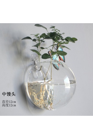 Tenfowee Yarı Dairesi Cam Duvar Vazosu - Isı Dayanıklı Su Bitkileri İçin Modern Ev Dekorasyonu