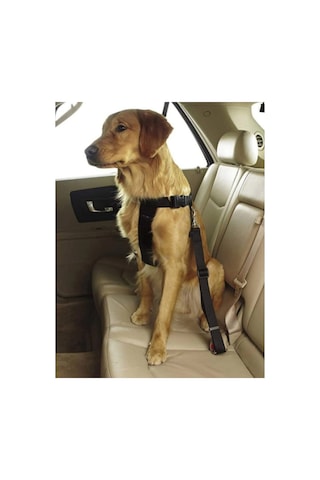 Ankaflex Evcil Hayvan Araç Emniyet Kemeri