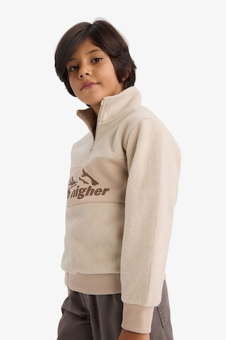 Defacto Erkek Çocuk Yarım Fermuarlı Baskılı Polar Sweatshirt G4944a825aubg117 Bej-bg117