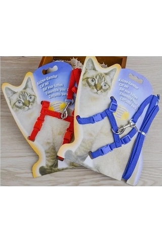 Bay Kedi Boyun Ve Göğüs Tasması Najmaddin
