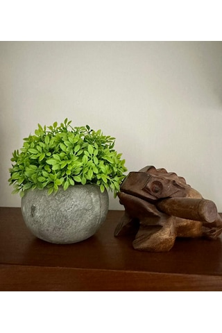 Yapay Şimşir Boxwood Çiçeği Antrasit Modern Saksılı Premium Ev Ofis Dekoru Yeşil