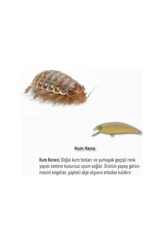 Hanfish Zıpır Kg 50mm 4.5gr Maket Balık Spk90 Kum Kene